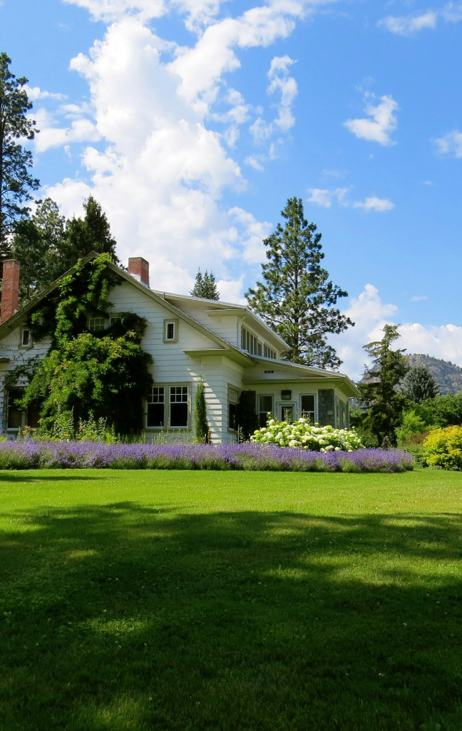 Beautiful Front Yard Green Grass